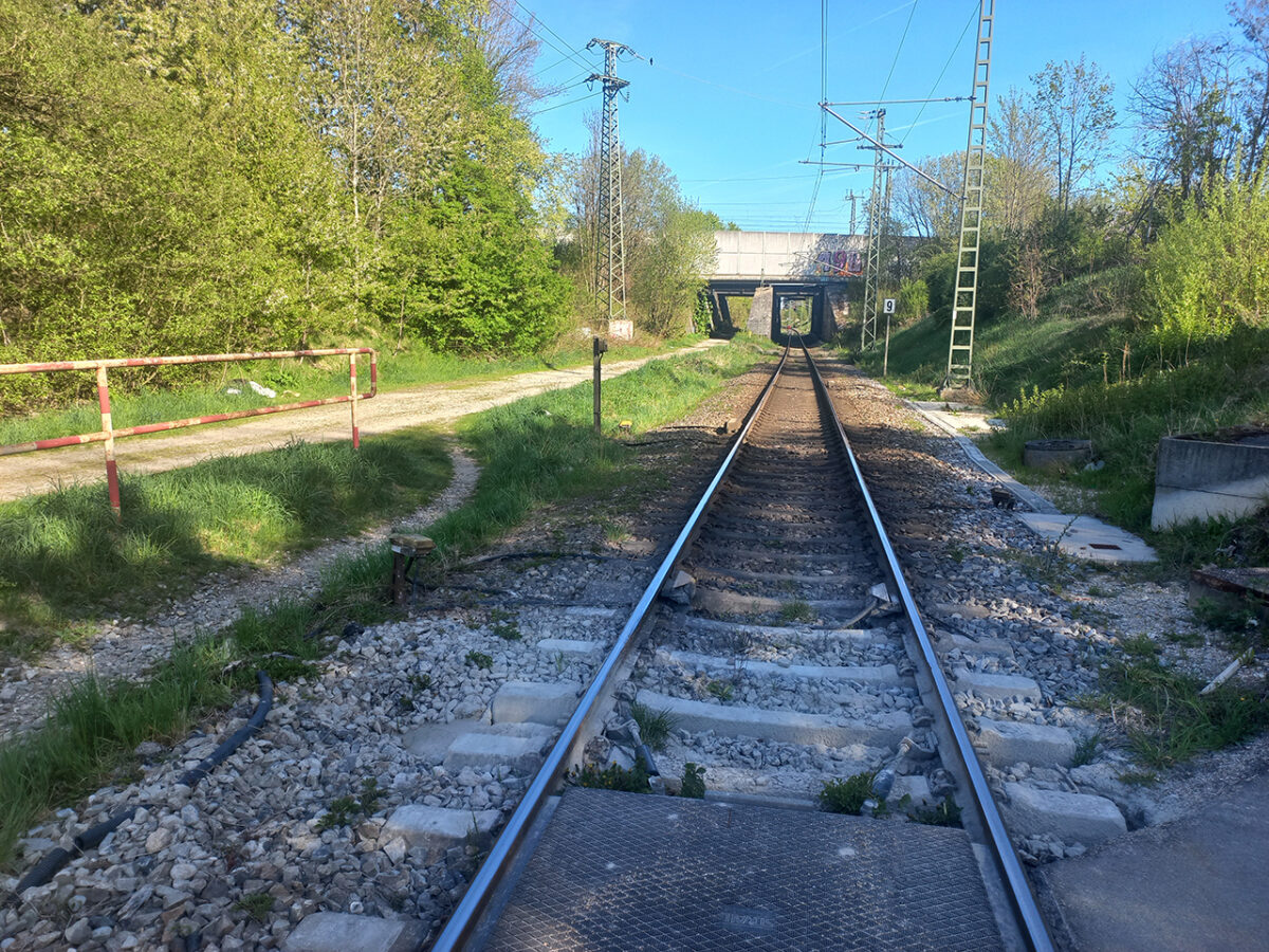 2026TrudringerSpange